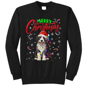 Merry Christmas Newfoundland Dog Santa Hat Lights Snowflakes Funny Gift Tall Sweatshirt