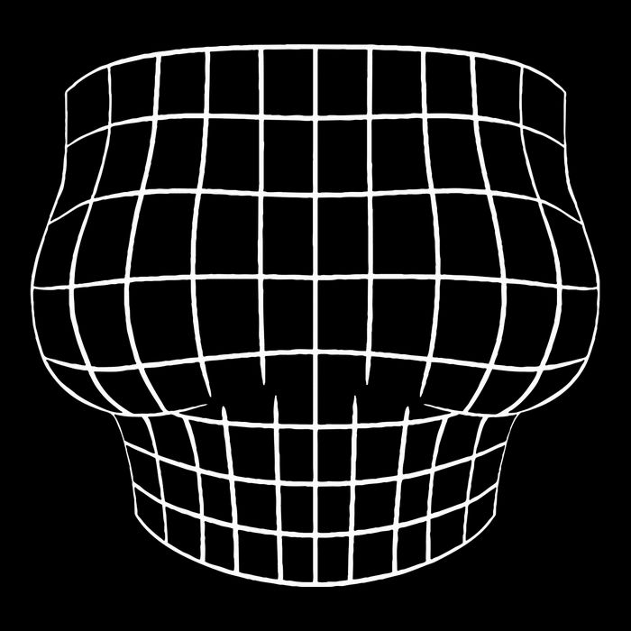 Magnified Chest Optical Illusion Grid Big Boobs Womens Tank Top