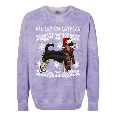 Merry Christmas Ornat Black Chihuahua Xmas Santa Gift Colorblast Crewneck Sweatshirt