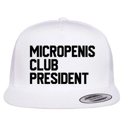 Micropenis Club President Funny Meme Sarcastic Stupid Cringe Flatbill Hat