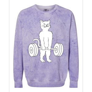 Muscle Cat Powerlifting Kitty Colorblast Crewneck Sweatshirt