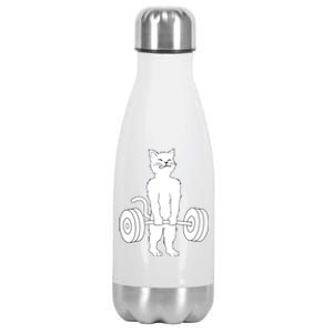 Muscle Cat Powerlifting Kitty Stainless Steel Insulated Water Bottle