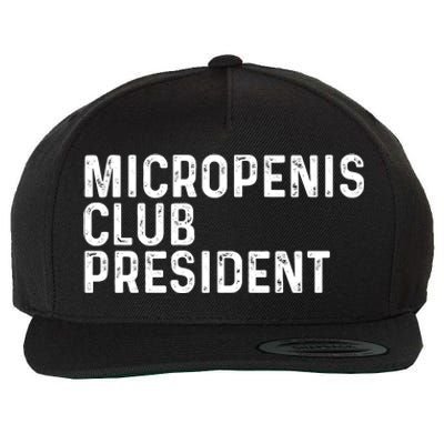 Micropenis Club President Funny Meme Sarcastic Stupid Cringe Wool Snapback Cap