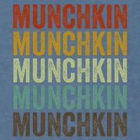 Munchkin Cat Retro Garment-Dyed Sweatshirt