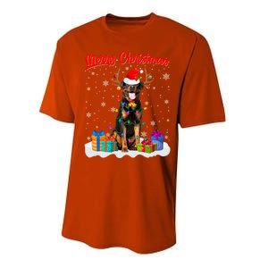 Merry Christmas Rottweiler Dog Santa Dog Xmas Gift Performance Sprint T-Shirt