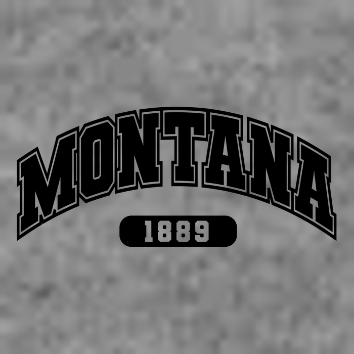 Montana Collegiate Style 1889 Kids Hoodie