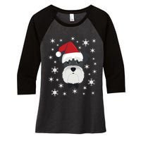 Merry Christmas Schnauzer Dog Ugly Sweater Long Sleeve Women's Tri-Blend 3/4-Sleeve Raglan Shirt