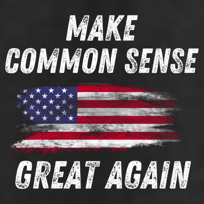 Make Common Sense Great Again Funny Saying Trending Gift Cool Comfort Performance Bucket Hat