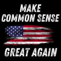 Make Common Sense Great Again Funny Saying Trending Gift Cropped Pullover Crew