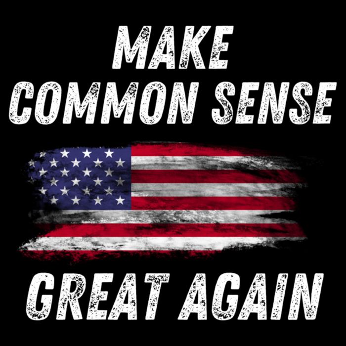 Make Common Sense Great Again Funny Saying Trending Gift Cropped Pullover Crew