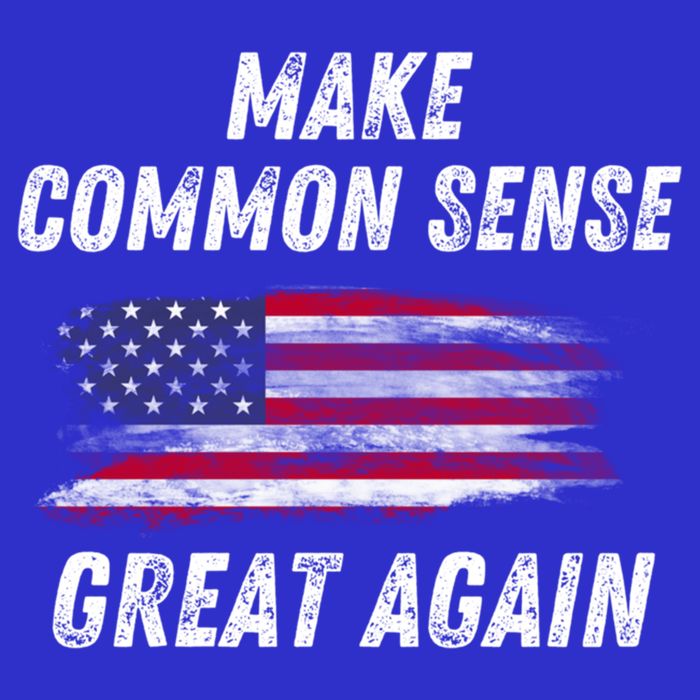 Make Common Sense Great Again Funny Saying Trending Gift Poster