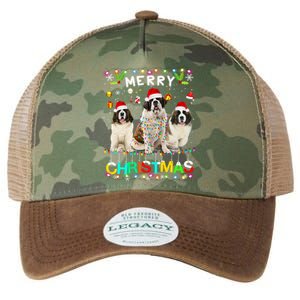 Merry Christmas Saint Bernard Gift Santa Hat Lights Xmas Gift Legacy Tie Dye Trucker Hat