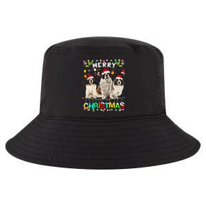 Merry Christmas Saint Bernard Gift Santa Hat Lights Xmas Gift Cool Comfort Performance Bucket Hat