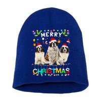 Merry Christmas Saint Bernard Gift Santa Hat Lights Xmas Gift Short Acrylic Beanie