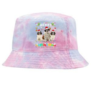 Merry Christmas Saint Bernard Gift Santa Hat Lights Xmas Gift Tie-Dyed Bucket Hat