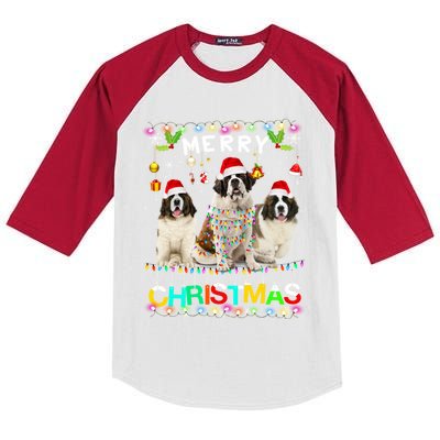 Merry Christmas Saint Bernard Gift Santa Hat Lights Xmas Gift Kids Colorblock Raglan Jersey