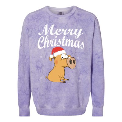 Merry Christmas Santa Hat Pig New Year Gift Idea Meaningful Gift Colorblast Crewneck Sweatshirt