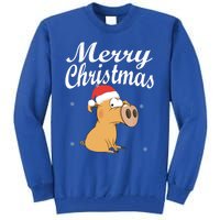 Merry Christmas Santa Hat Pig New Year Gift Idea Meaningful Gift Tall Sweatshirt