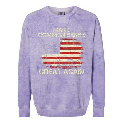 Make Common Sense Great Again Funny Humor Vintage Usa Flag Colorblast Crewneck Sweatshirt