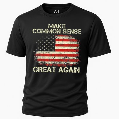 Make Common Sense Great Again Funny Humor Vintage Usa Flag Performance Shirt