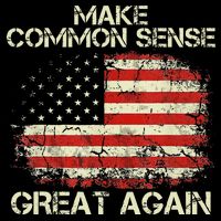Make Common Sense Great Again Funny Humor Vintage Usa Flag Button