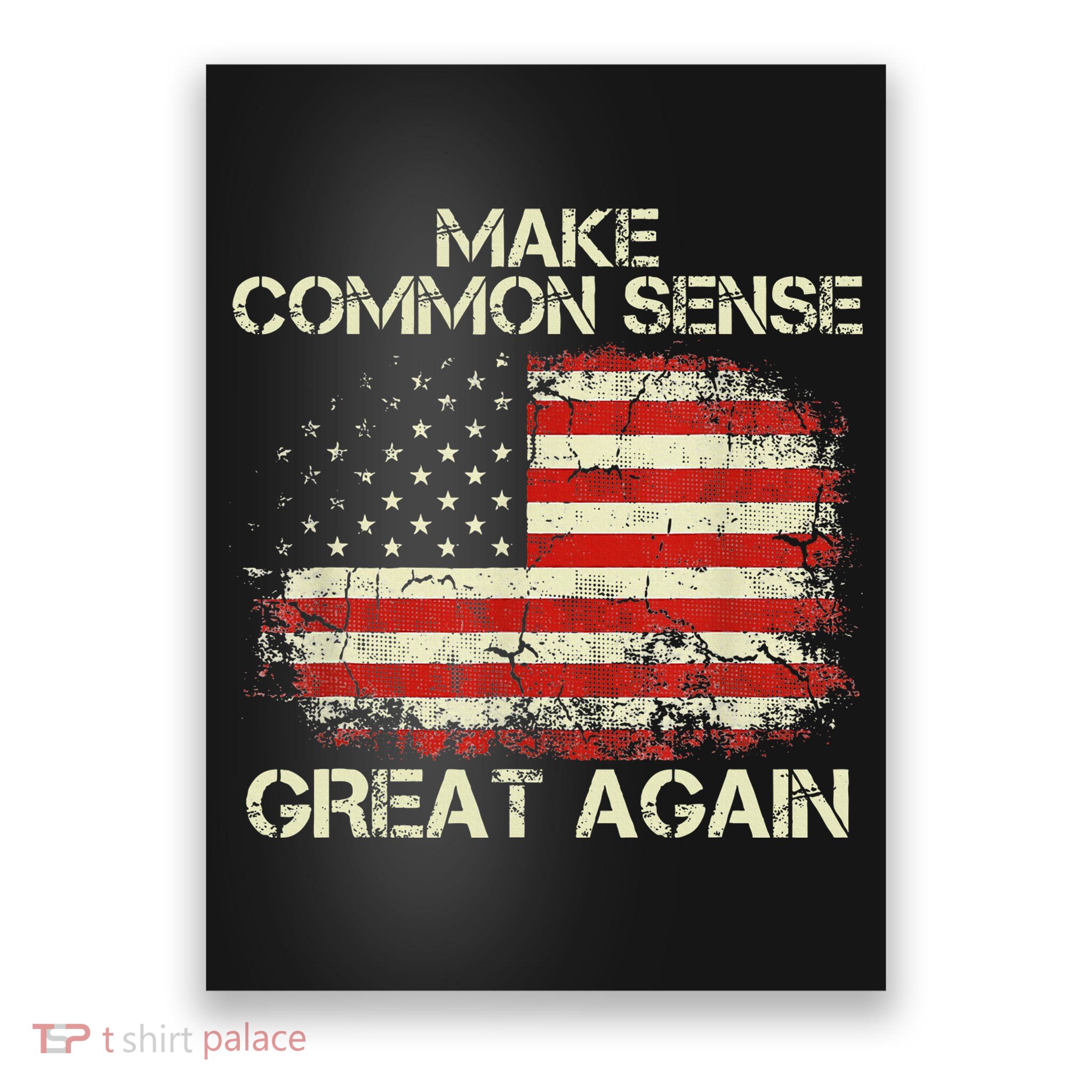Make Common Sense Great Again Funny Humor Vintage Usa Flag Poster