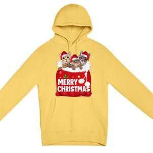 Merry Christmas Santa Cat Kitten In Xmas Santa Bag Christmas Long Sleeve Premium Pullover Hoodie