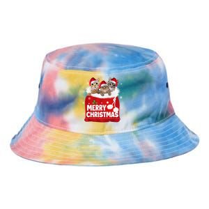 Merry Christmas Santa Cat Kitten In Xmas Santa Bag Christmas Long Sleeve Tie Dye Newport Bucket Hat