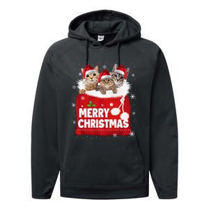 Merry Christmas Santa Cat Kitten In Xmas Santa Bag Christmas Long Sleeve Performance Fleece Hoodie