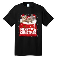 Merry Christmas Santa Cat Kitten In Xmas Santa Bag Christmas Long Sleeve Tall T-Shirt