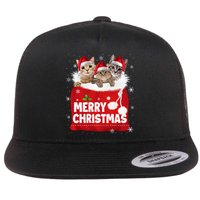 Merry Christmas Santa Cat Kitten In Xmas Santa Bag Christmas Long Sleeve Flat Bill Trucker Hat