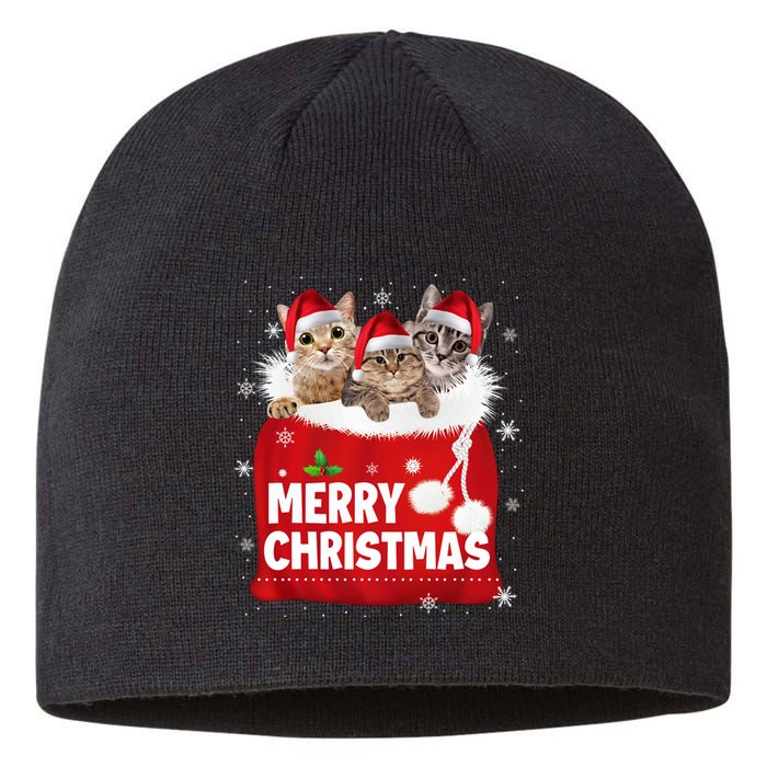 Merry Christmas Santa Cat Kitten In Xmas Santa Bag Christmas Long Sleeve Sustainable Beanie