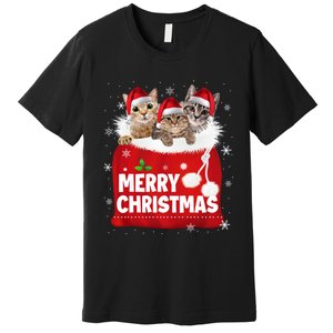 Merry Christmas Santa Cat Kitten In Xmas Santa Bag Christmas Long Sleeve Premium T-Shirt