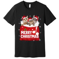 Merry Christmas Santa Cat Kitten In Xmas Santa Bag Christmas Long Sleeve Premium T-Shirt