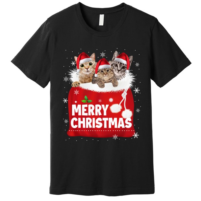 Merry Christmas Santa Cat Kitten In Xmas Santa Bag Christmas Long Sleeve Premium T-Shirt