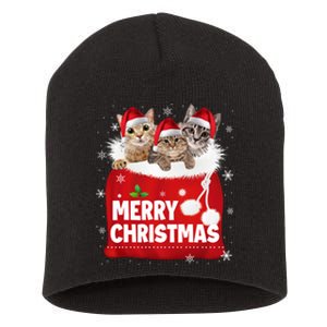 Merry Christmas Santa Cat Kitten In Xmas Santa Bag Christmas Long Sleeve Short Acrylic Beanie