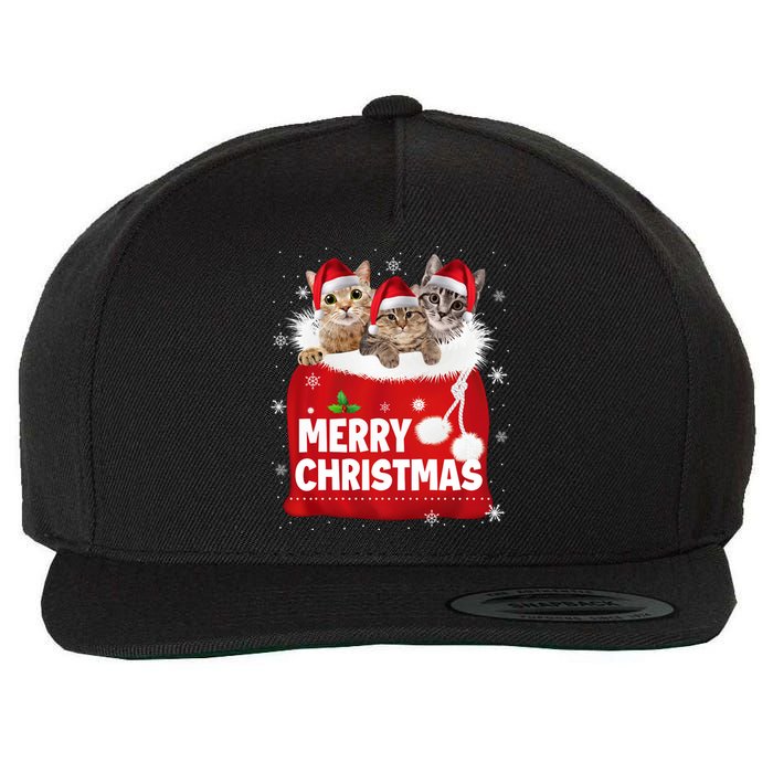 Merry Christmas Santa Cat Kitten In Xmas Santa Bag Christmas Long Sleeve Wool Snapback Cap