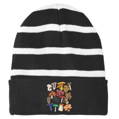 Mushroom Classification Types Mycology for Shroom Hunter Striped Beanie with Solid Band