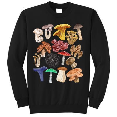 Mushroom Classification Types Mycology For Shroom Hunter Sweatshirt