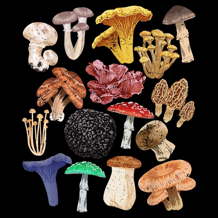 Mushroom Classification Types Mycology For Shroom Hunter Backpack
