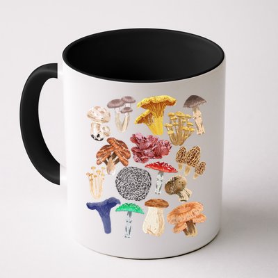 Mushroom Classification Types Mycology For Shroom Hunter Mug