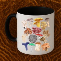 Mushroom Classification Types Mycology For Shroom Hunter Mug