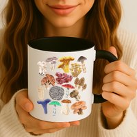 Mushroom Classification Types Mycology For Shroom Hunter Mug
