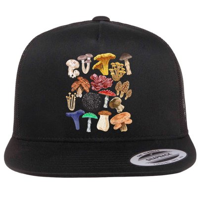 Mushroom Classification Types Mycology For Shroom Hunter Flatbill Hat
