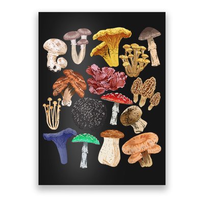 Mushroom Classification Types Mycology For Shroom Hunter Poster