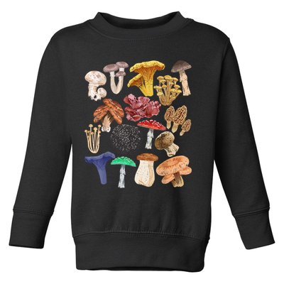 Mushroom Classification Types Mycology For Shroom Hunter Toddler Sweatshirt