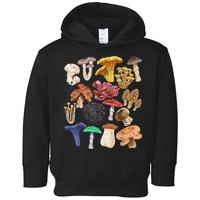 Mushroom Classification Types Mycology For Shroom Hunter Toddler Hoodie