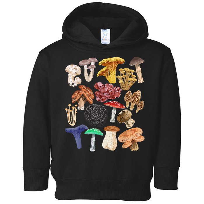Mushroom Classification Types Mycology For Shroom Hunter Toddler Hoodie