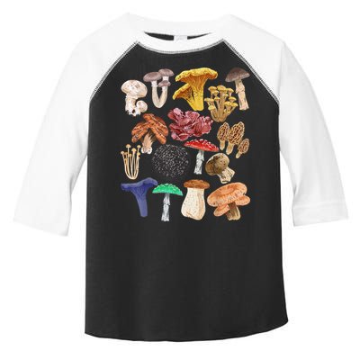 Mushroom Classification Types Mycology For Shroom Hunter Toddler Fine Jersey T-Shirt