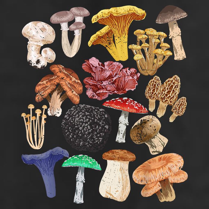Mushroom Classification Types Mycology For Shroom Hunter Golf Towel